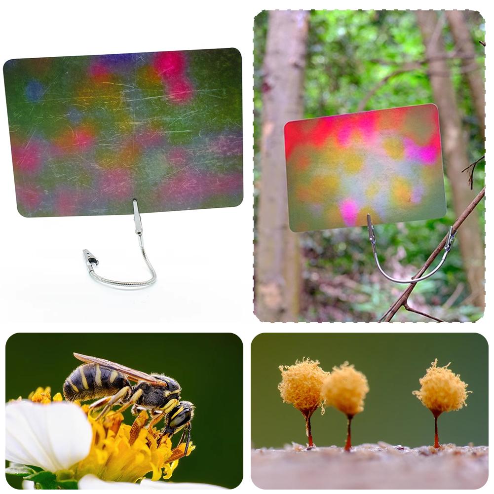 Tarjeta de Fondo para Macrofot - Photography Lighting Material reseña y precio