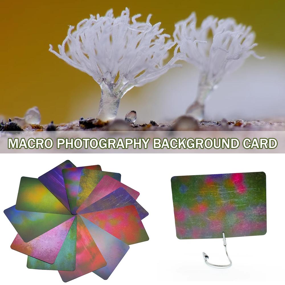 Tarjeta de Fondo para Macrofot - Photography Lighting Material reseña y precio