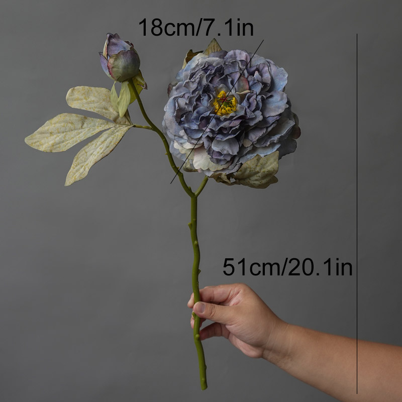1 unidad de luz de lujo de 2 c - Photography Lighting Simulation reseña y precio