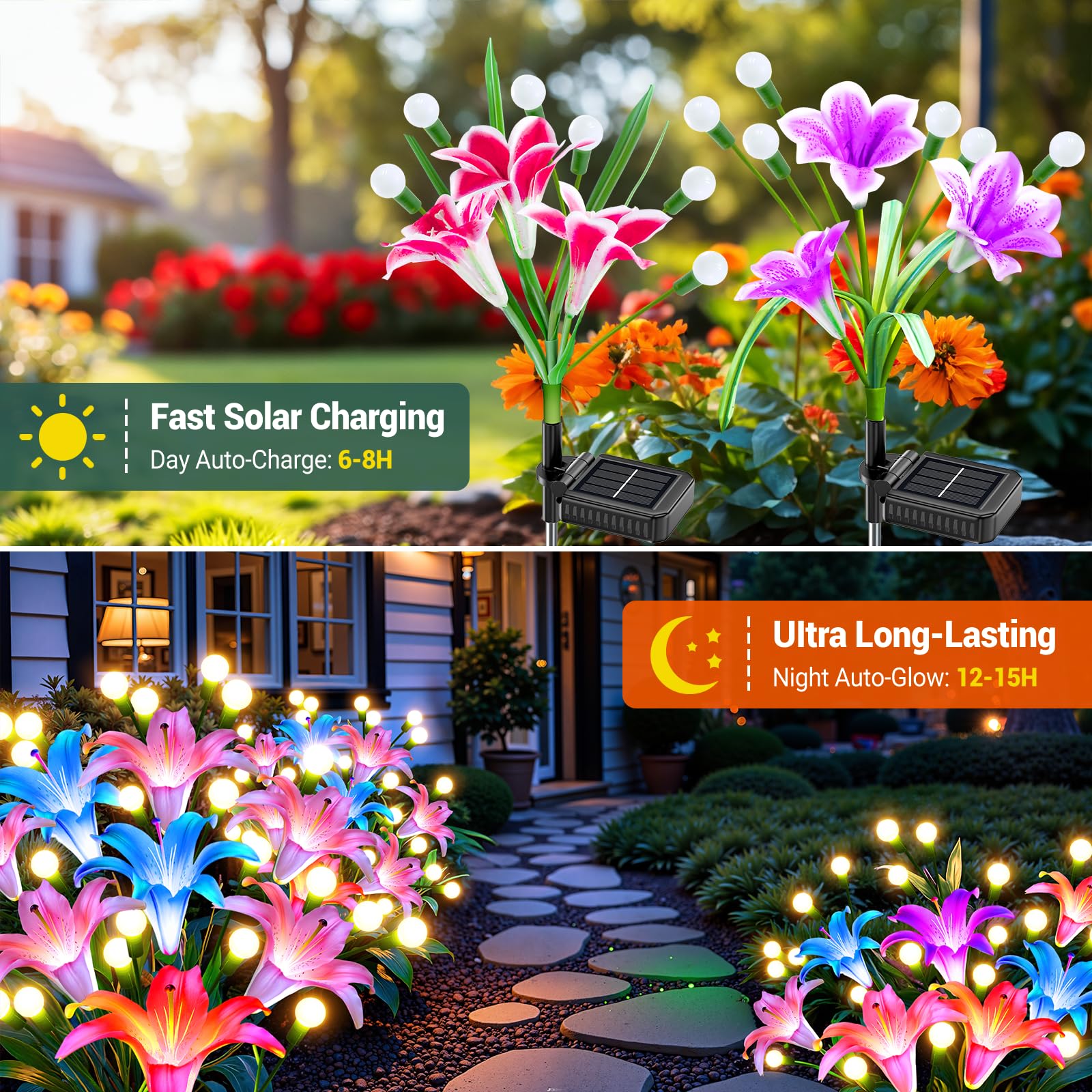 Paquete de 2/4 Luces Solares M - Flower Photography Led Lighting Pack reseña y precio
